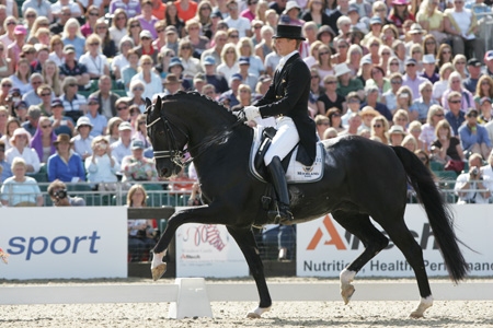 Reiten: Idole Im Viereck?