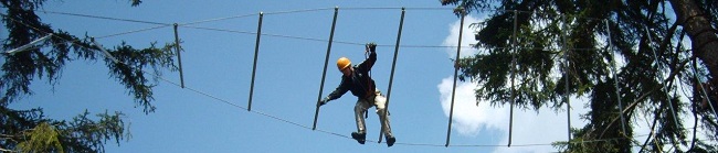 Pfefferoni gut abgehangen