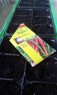 Pfefferoni geht in Serie