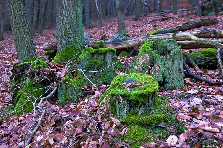 Hach … Frühling und so …