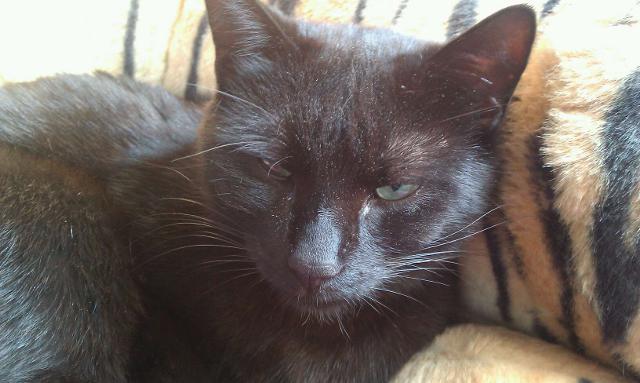 Diagnose: Alles wird gut!