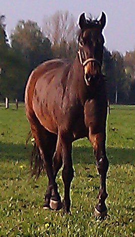 Schwere Entscheidung