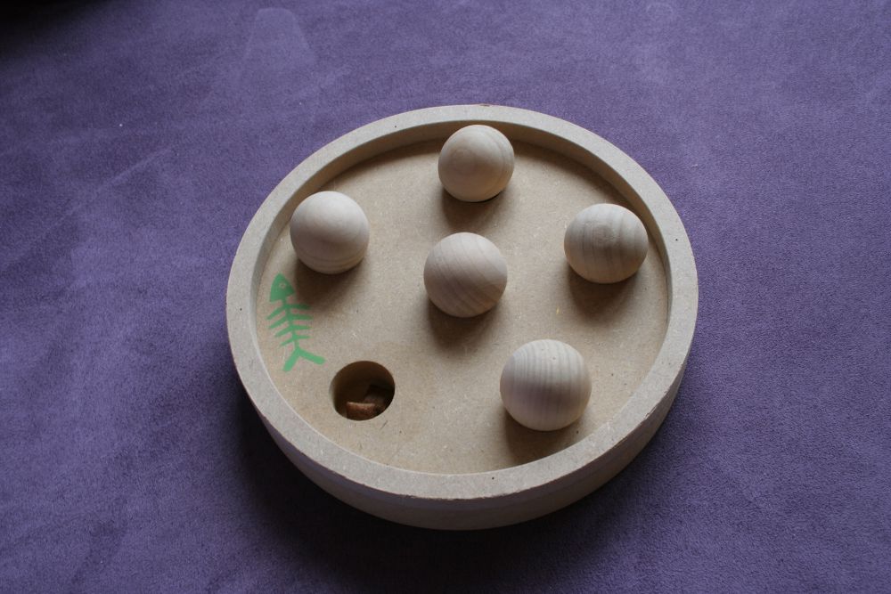 Meine schlauen Kater