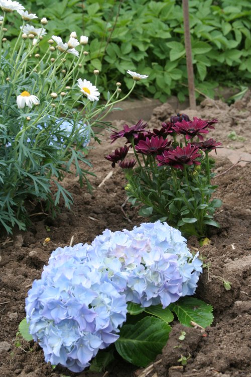 Projekt „Garten“