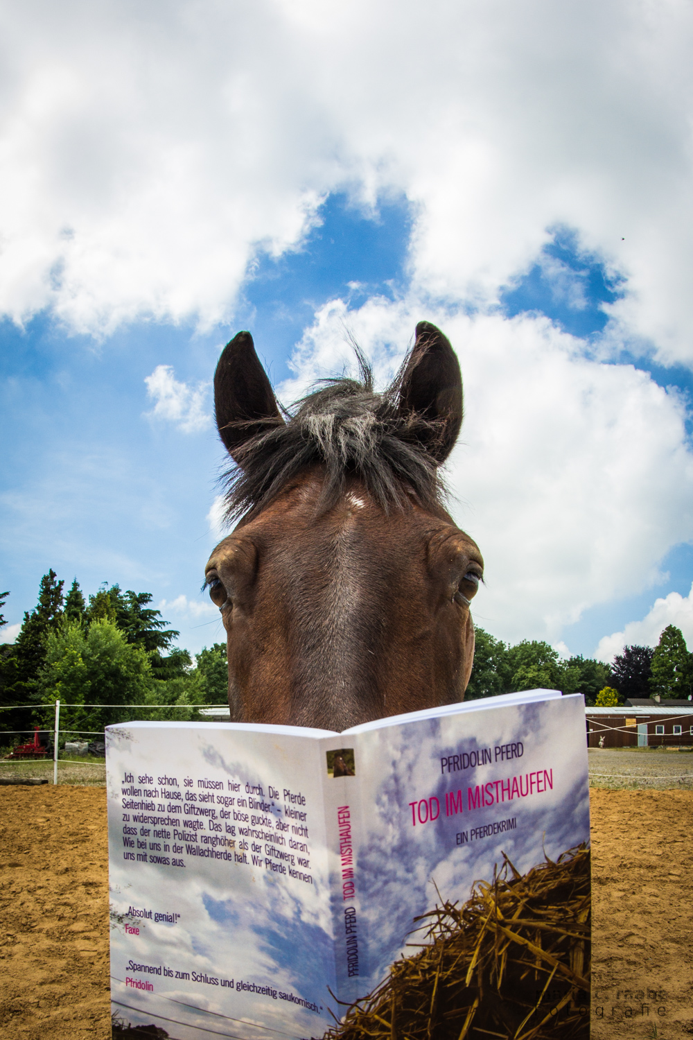 Gelesen: Tod im Misthaufen von Pfridolin Pferd