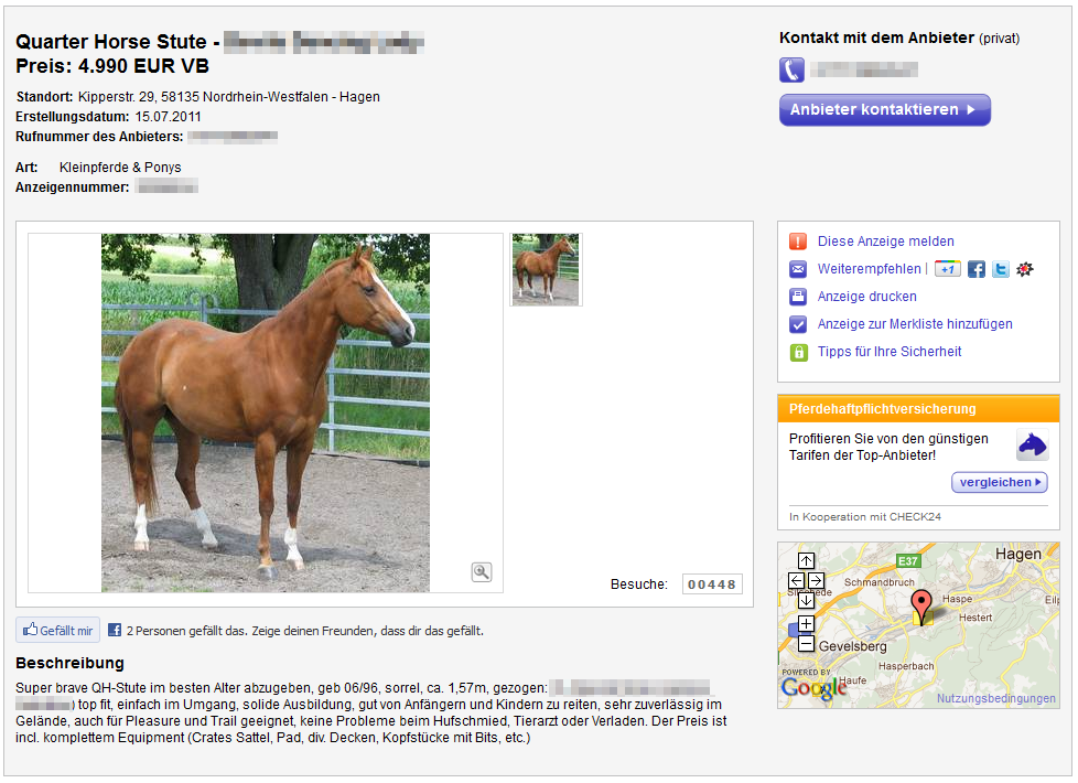 Nepper, Schlepper, Bauernfänger: Pferd gratis!