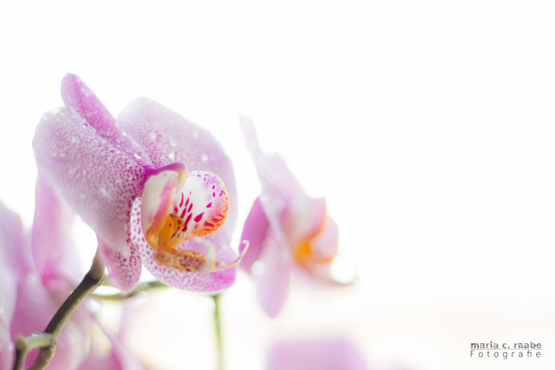 Was seitdem geschah …