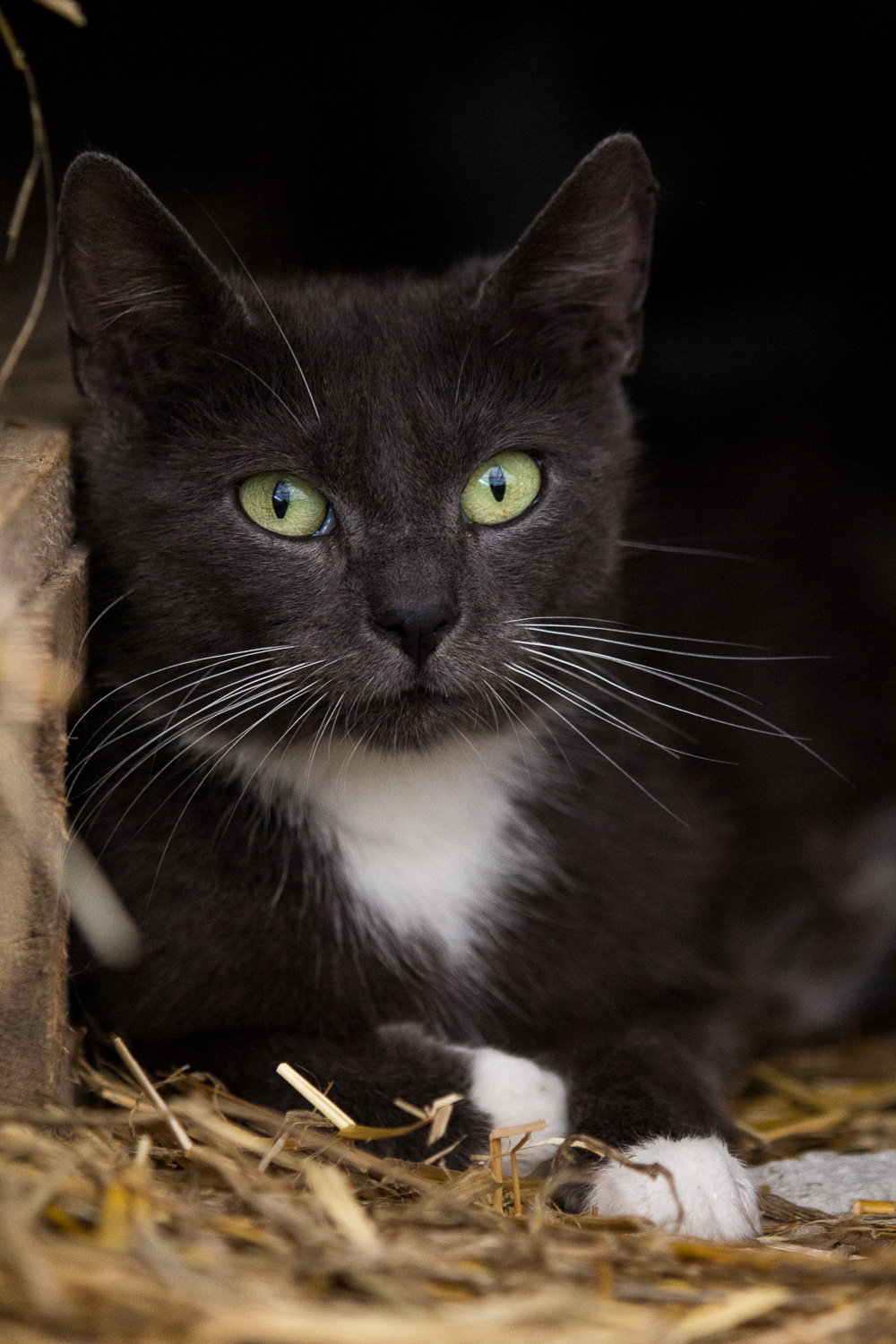 Alma – Zu Gast im Standardorbit