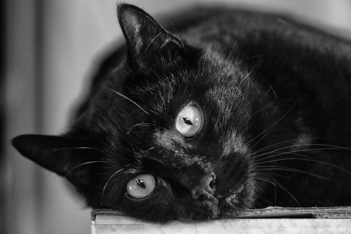 Prosit Neujahr – Der etwas andere Jahreswechsel