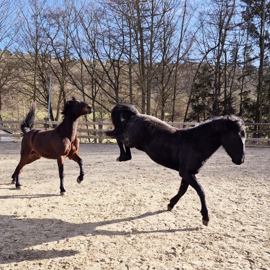 Neuanfang? Ja, Nein, Vielleicht?